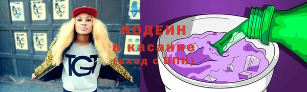 индика Горно-Алтайск