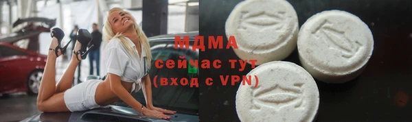 индика Горно-Алтайск