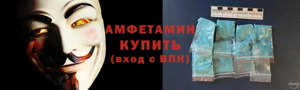 индика Горно-Алтайск