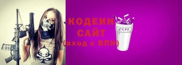 индика Горно-Алтайск
