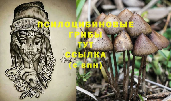 герыч Горнозаводск