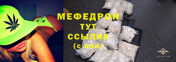 индика Горно-Алтайск
