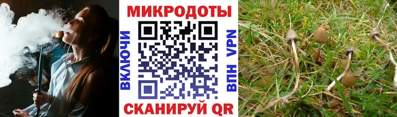 Галлюциногенные грибы MAGIC MUSHROOMS  Купить закладки  Воркута 